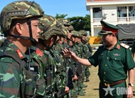 MND delegations inspect units’ combat readiness